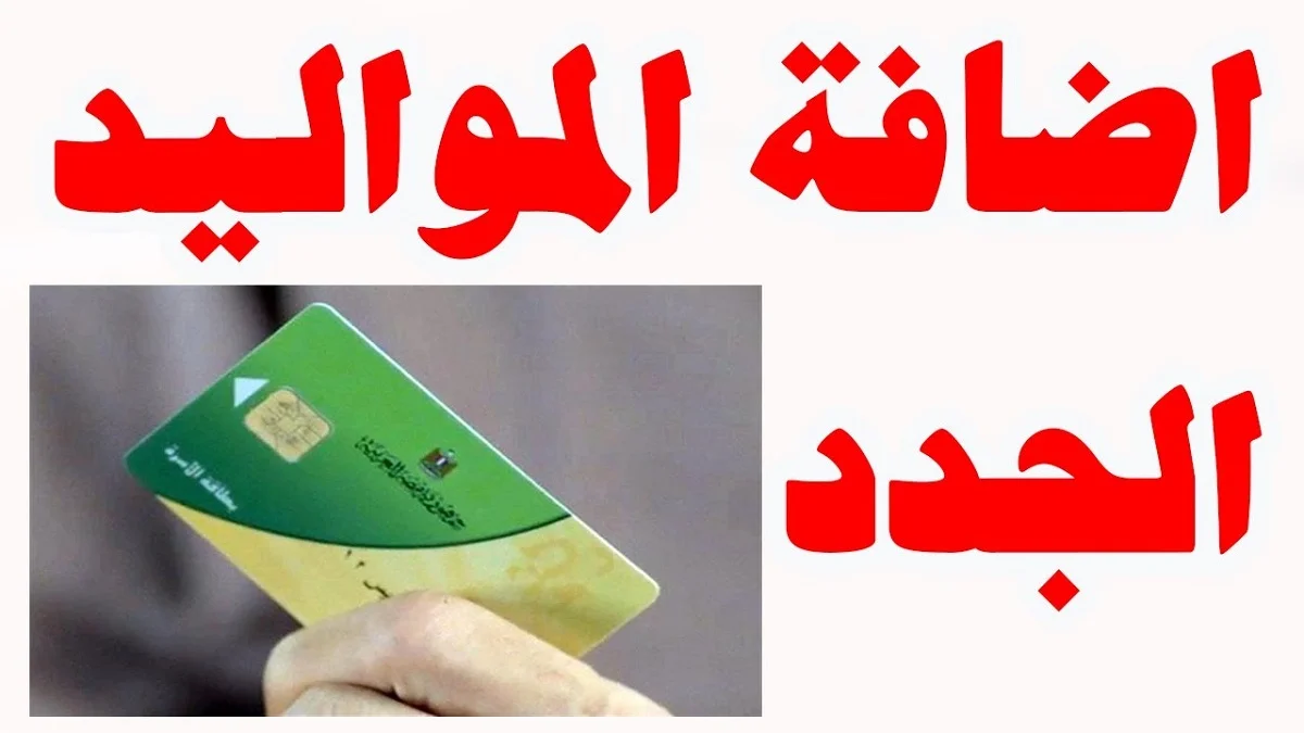 موقع دعم مصر.. اضافة المواليد الجدد لبطاقة التموين 2023 بالرقم القومي عبر tamwin.com.eg - بلد نيوز