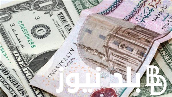 The Latest Dollar Price Against the Egyptian Pound – Live Updates