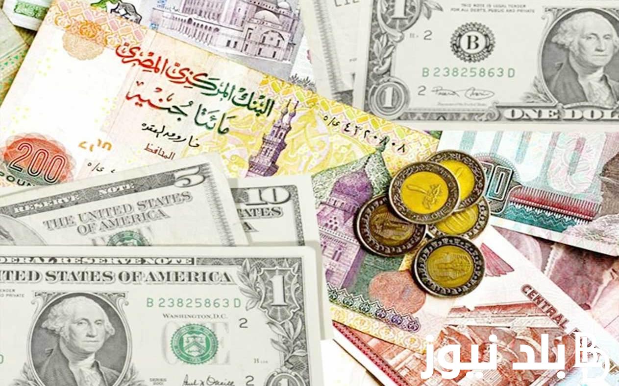 Latest Exchange Rates: 100 Kuwaiti Dinars to Egyptian Pounds – Black Market vs. Banks