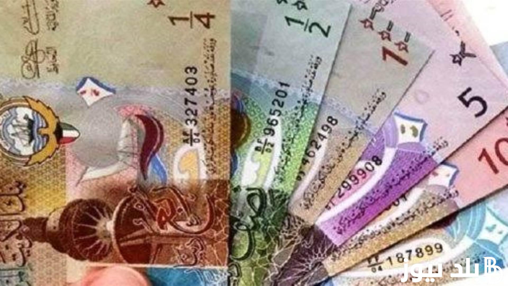 Kuwaiti Dinar Price Today: Stabilized Rate in Egyptian Banks – 2/10/2024