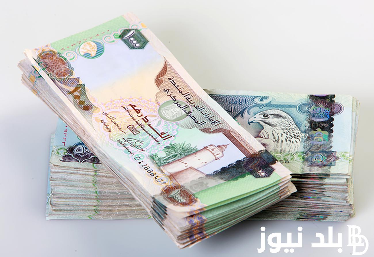 The Latest Updates on UAE Dirham Price Stability Against Egyptian Pound