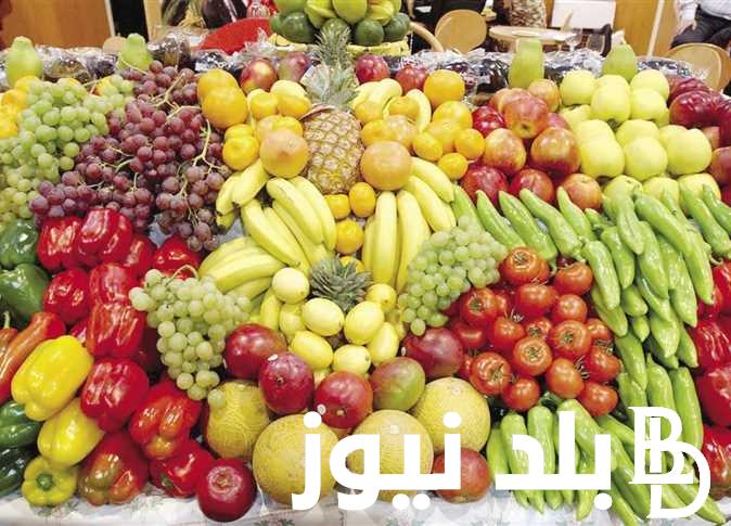 جدول أسعار الفاكهة اليوم الاحد 30-6-2024 في سوق العبور للجمله للتجار والمستهلكين